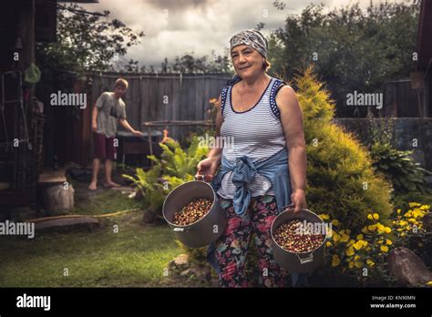 Cheerful Senior Women Farmer In Garden With Crop Of Ripe Strawberries