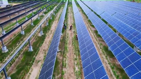 Watch Sri Lanka S First Ever Agrivoltaic Solar Power Plant Opened