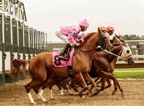 11 Beautiful Photos That Capture A Day In The Life Of A Female Jockey