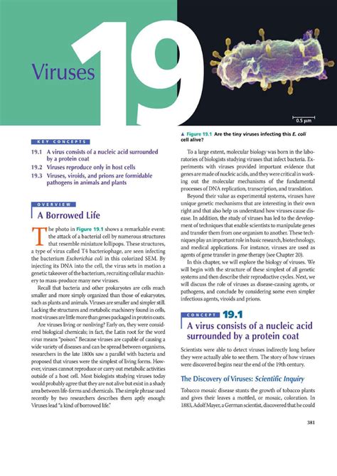 Viruses Biology Studocu