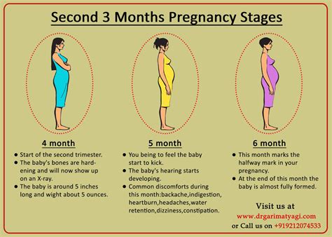 Pregnancy care tips first 3 months in urdu. Pin on Dr. Garima Tyagi