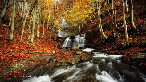 Beautiful Autumn Forest Waterfalls Stream On Rocks Nature During