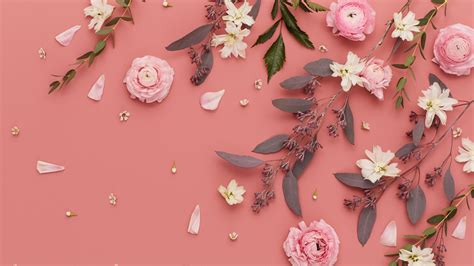 Pink Desktop Wallpapers Top Free Pink Desktop Backgrounds