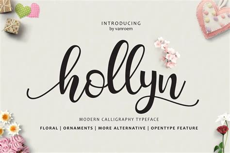 Hollyn Modern Calligraphy Font Upfonts