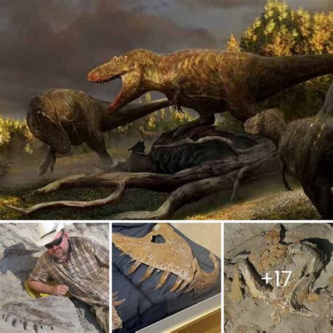 Original King Of The Dinosaurs Horned Eyed Tyrannosaurus Ancestor Of