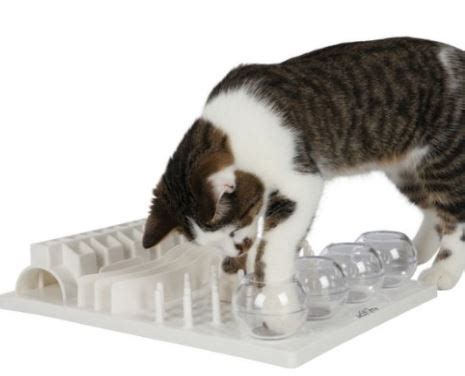As much as we love to spoil our dogs and cats with toys, treats, and even fancy rain gear, the easy life of a domesticated pet can have its downfalls — especially when it comes to meals. 7 cat food puzzles that will feed your cat's hunter spirit