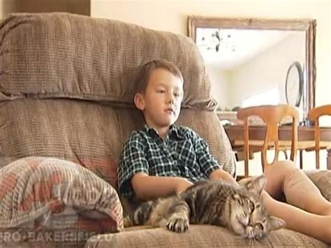 Cat vaccinations are integral component in the longevity equation. Tara the wonder cat saves little boy from terrifying dog ...