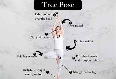 Vrikshasana Tree Pose Steps Beginners Tip And Benefits Fitsri