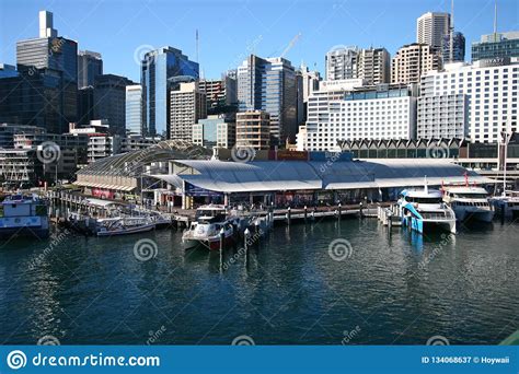 Aquarium Wildlife World And Madame Tussauds Sydney On Harbor
