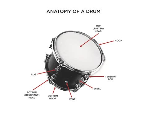 Drumdiagram The Vault At Music And Arts