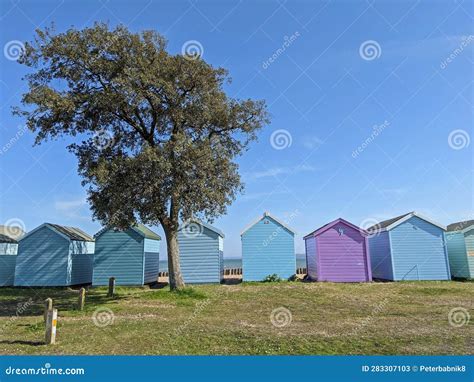 Colorful Beach Huts On South Coast Of England In The Summer Stock Image