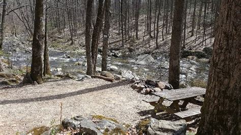 Explore an array of crabtree falls, us vacation rentals, including cabins, houses & more bookable online. Crabtree Falls Campground - UPDATED 2018 Reviews (Tyro, VA ...