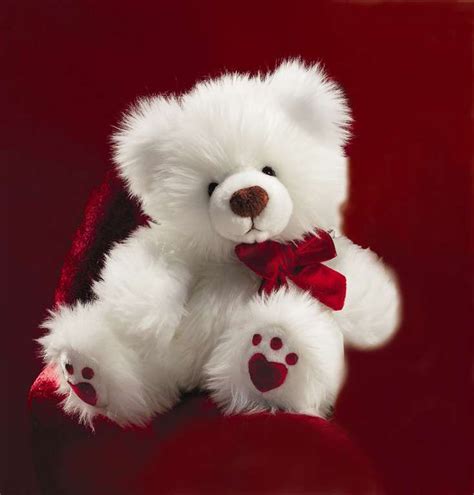52 Cute Teddy Bears Youll Want To Hug Teddy Bear