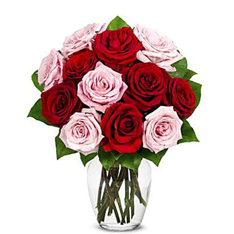 Luxury One Dozen Red And Pink Roses Bouquet Usa T Luxury One Dozen
