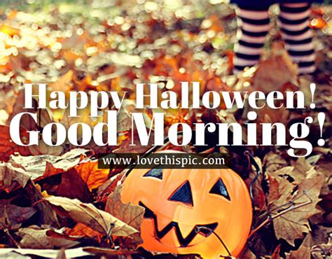 Happy Halloween Good Morning Pictures Photos And Images For