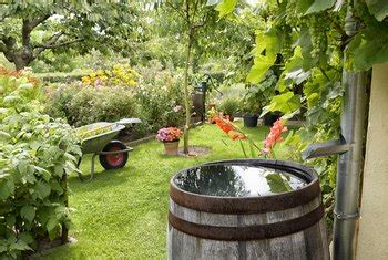 (e) the cor shall, as a minimum, orally notify the for both roundup products (liquid and dry pack) mix with water in accordance with label. Can I Spray Roundup After Rain? | Home Guides | SF Gate