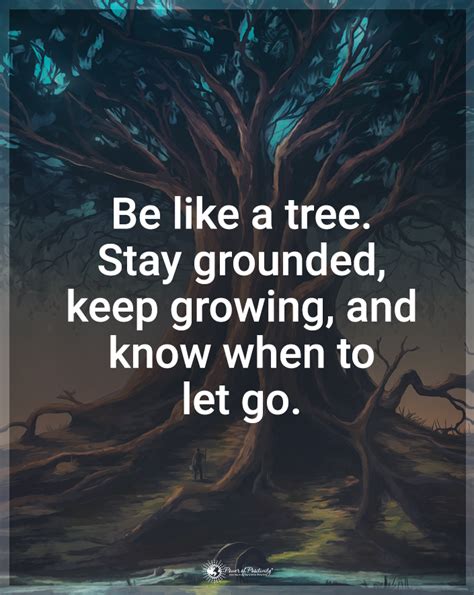The Mindfulness Meditation Institute On Twitter “be Like A Tree Stay