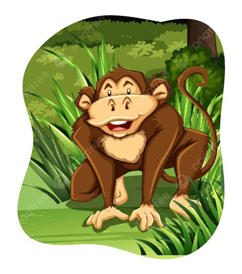 Monkey Jungle Clipart Graphic Vector Jungle Clipart Graphic Png And