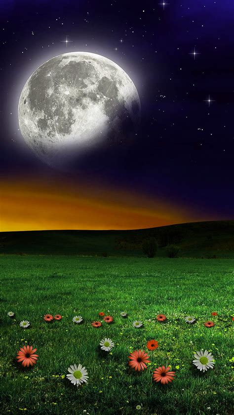 Moon Flowers Grass Green Nature Night Romantic Sky Hd Phone
