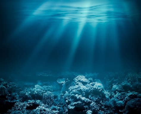 Deep Sea Life May Disappear Before We Even Understand It •
