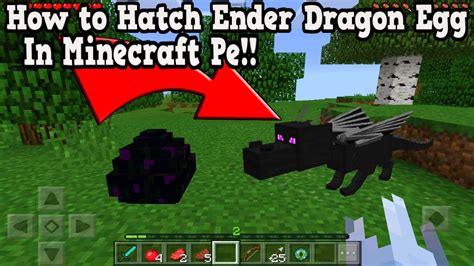 They are inspired by harry potter, game of thrones, and ot. Minecraft Pe - How to Hatch Ender Dragon Egg in Minecraft ...