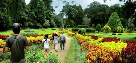 Peradeniya Botanical Garden