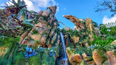 Complete Guide To Disneys Animal Kingdom In 2022 Flying Off The