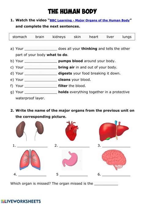 Human Body Online Activity For Grade You Can Do The Exercises Online Or Download The
