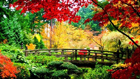 720 listings of hd japanese wallpaper picture for desktop, tablet & mobile device. Japanese background ·① Download free awesome HD wallpapers ...