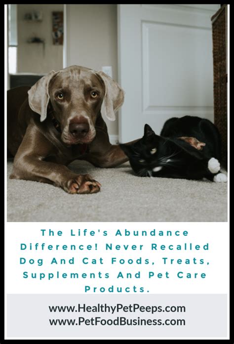 The probiotic strains selected for life's abundance foods are ideal to support the canine or feline gi tract because they originated from healthy dogs and cats. The Life's Abundance Difference! Never Recalled Dog And ...