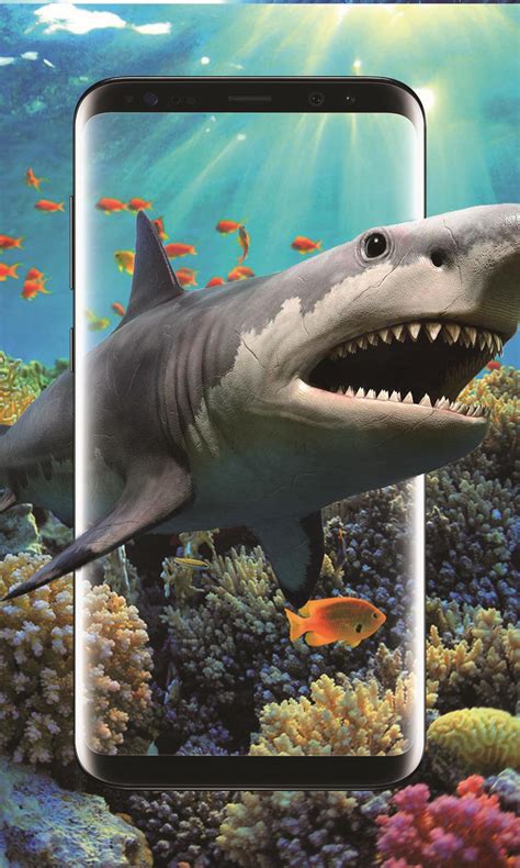 3d Shark In The Ocean Live Wallpaper For Android Apk Download