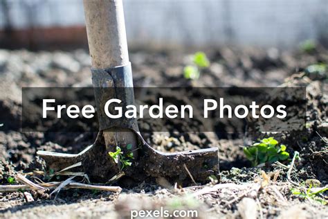 Free Stock Photos Of Garden · Pexels