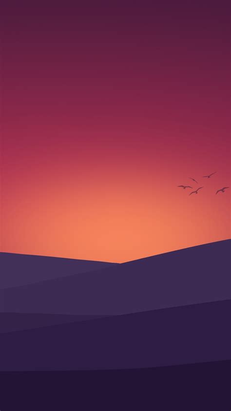 2160x3840 Birds Flying Towards Sunset Landscape Minimalist 4k Sony