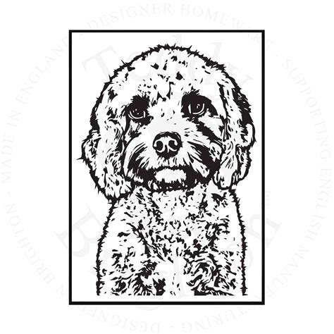 Cockapoo illustration DOG057