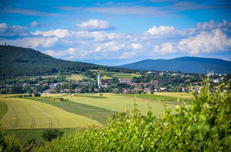 Wanderarena Bad Vöslau Einstieg