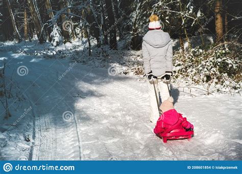 Mother Pulling Baby On A Sled Through Winter Forest Stock Photo Image