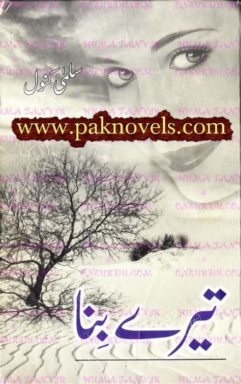 Download Romantic Novel Tery Bina By Salma Kanwal