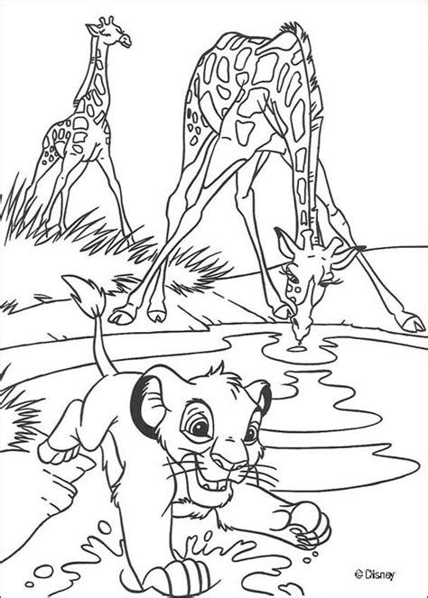 You'll also like these coloring pages of the gallery giraffes. Simba splashes the giraffes coloring pages - Hellokids.com