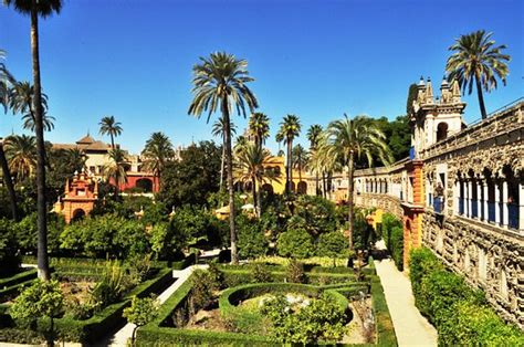 The site, which was originally developed as a fort in 913, has been revamped many times over the 11 centuries of its existence, most spectacularly in the 14th century when king pedro added the sumptuous palacio de don pedro, still today the alcázar's crowning glory. Séville - Real : Real Club De Golf De Sevilla Royal ...