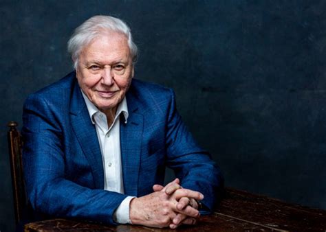 The british academy awarded david attenborough the desmond davis award in 1970, and a fellowship in 1979. Sir David Attenborough: Ditch meat to save the planet ...