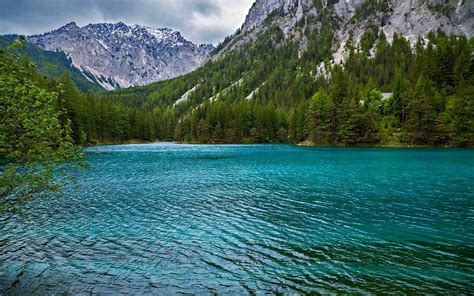 Nature Landscape Summer Lake Forest Mountain Alps Austria Water Trees