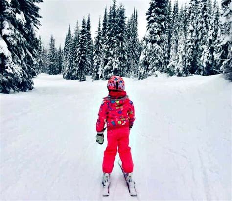 The average instacart salary ranges from approximately $15,000 per year for driver (independent contractor) to $225,000 per year for staff engineer. How Much Do You Get Paid As a Ski Instructor?