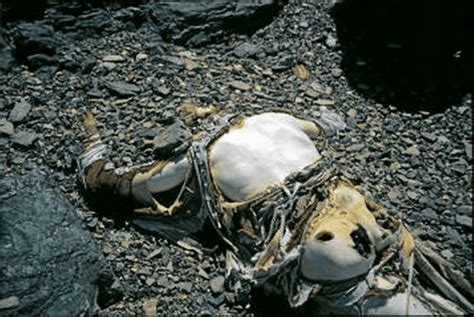 One such waypoint had been the green boots near the summit. Dead Bodies on Mount Everest - many perfectly preserved bodies lie on top of Mount Everest