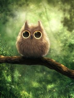 Magic night live wallpaper for android phones and tablets. Download Free Mobile Phone Wallpaper Cute Owl - 705 ...