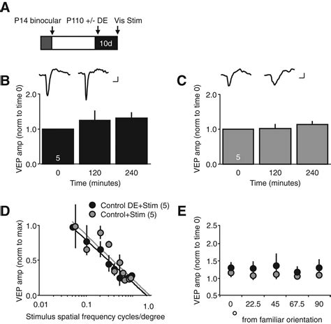 Repetitive Visual Stimulation Enhances Recovery From Severe Amblyopia