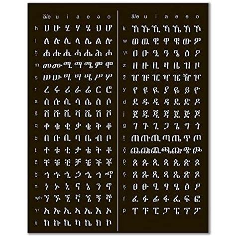 11x14 Amharic Educational Posteramharic Alphabetamharic