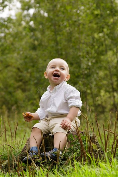 Little Boy In The Woods Stock Image Image Of Green Child 58582823