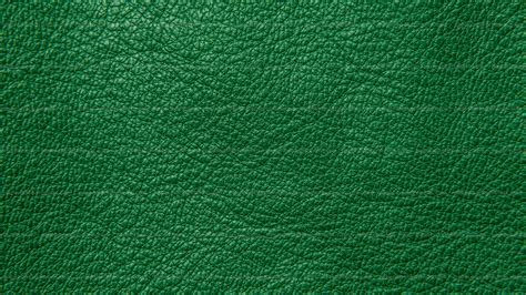 Pictures Green Texture World Collection Hd Background Wallpaper 48