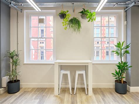 Indoor Plant Hire For Offices Plantcare