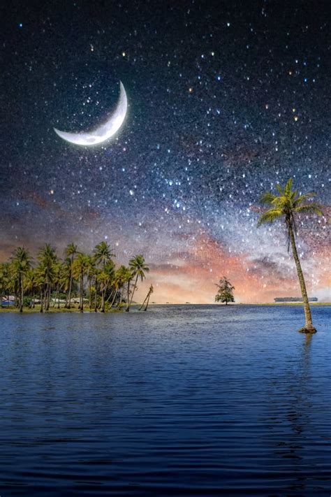 Tropical Island Landscape With Beautiful Starry Night Stock Photo